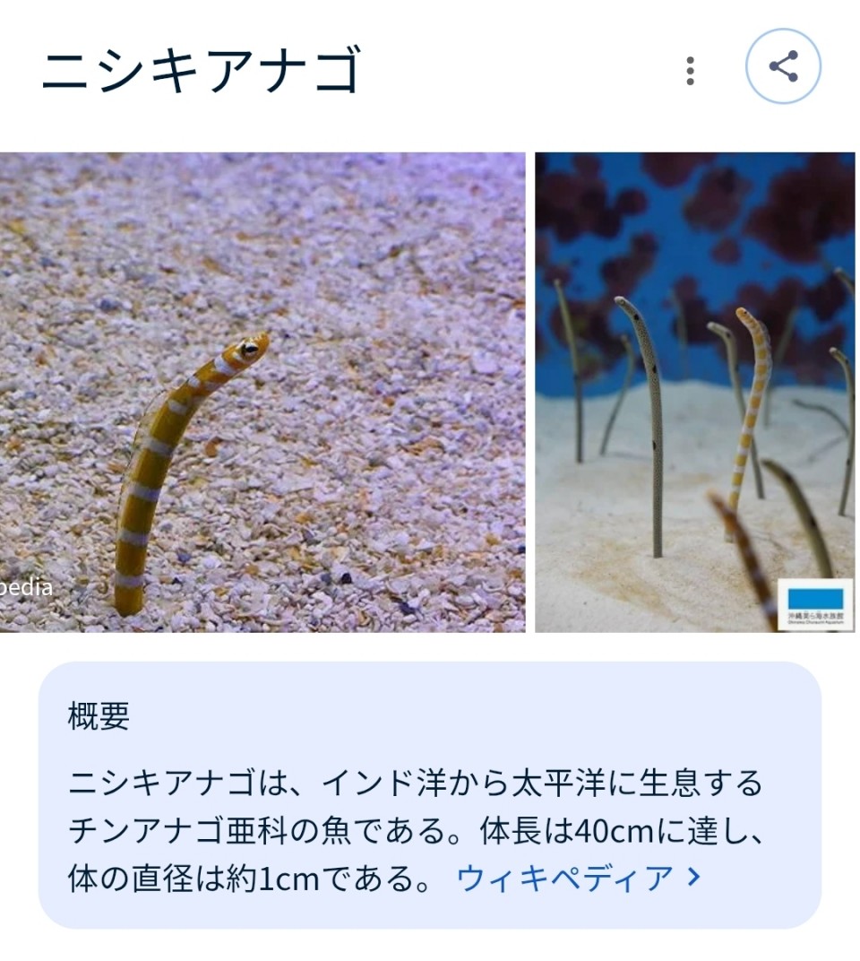 アップロード画像