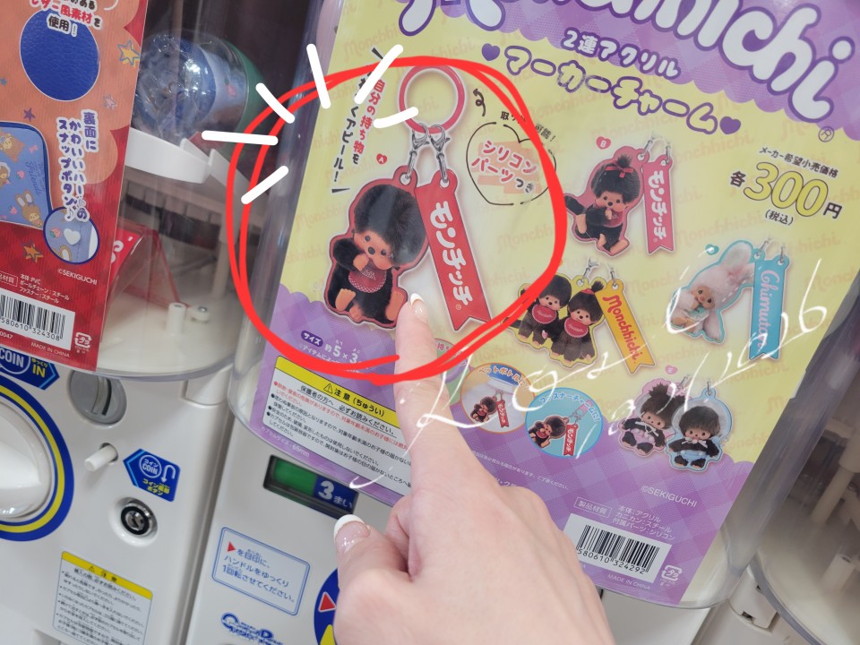 アップロード画像
