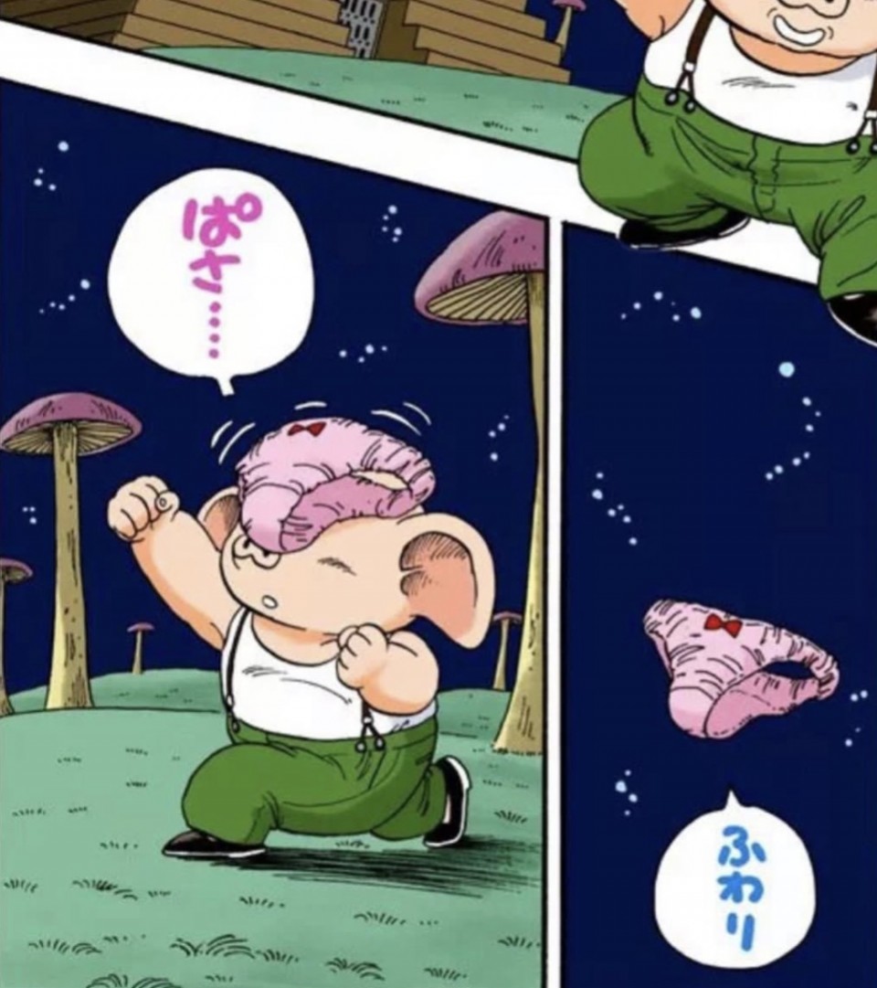 アップロード画像