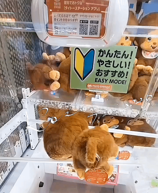 アップロード画像