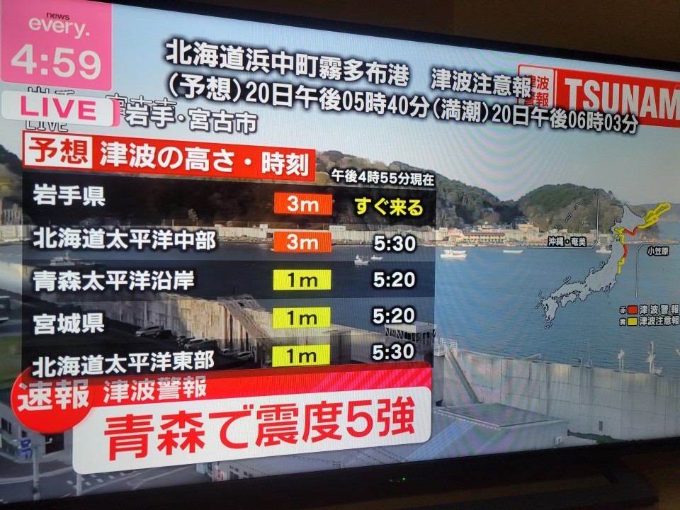 アップロード画像