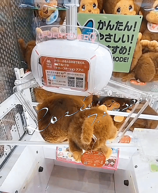 アップロード画像