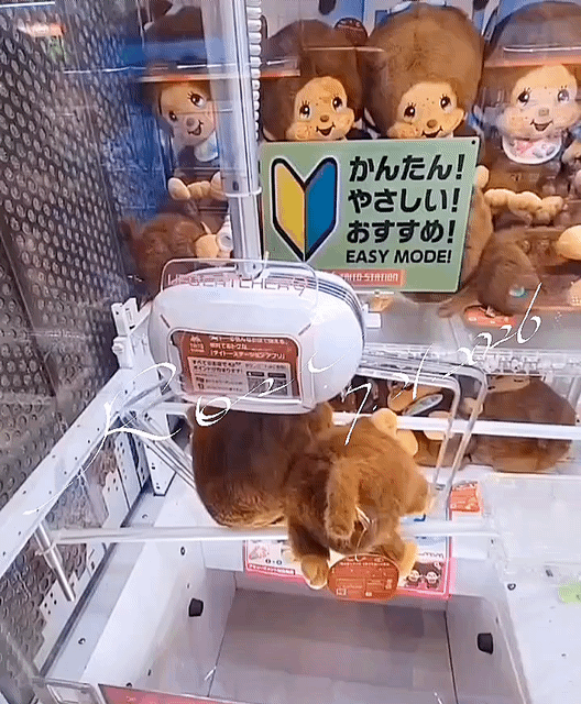 アップロード画像