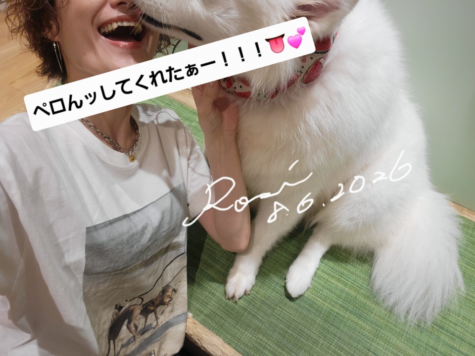 アップロード画像