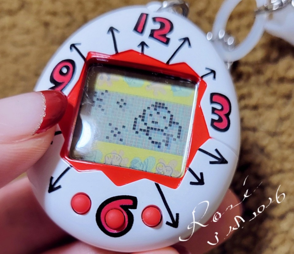 アップロード画像