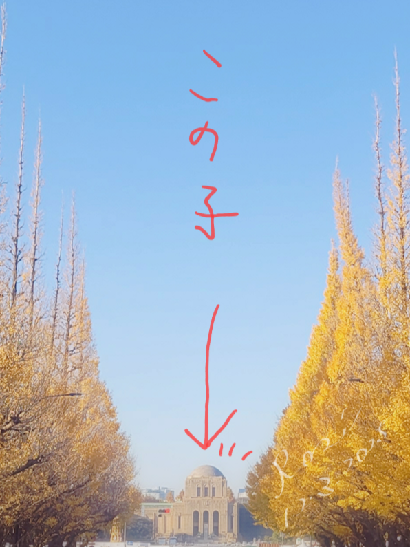 アップロード画像