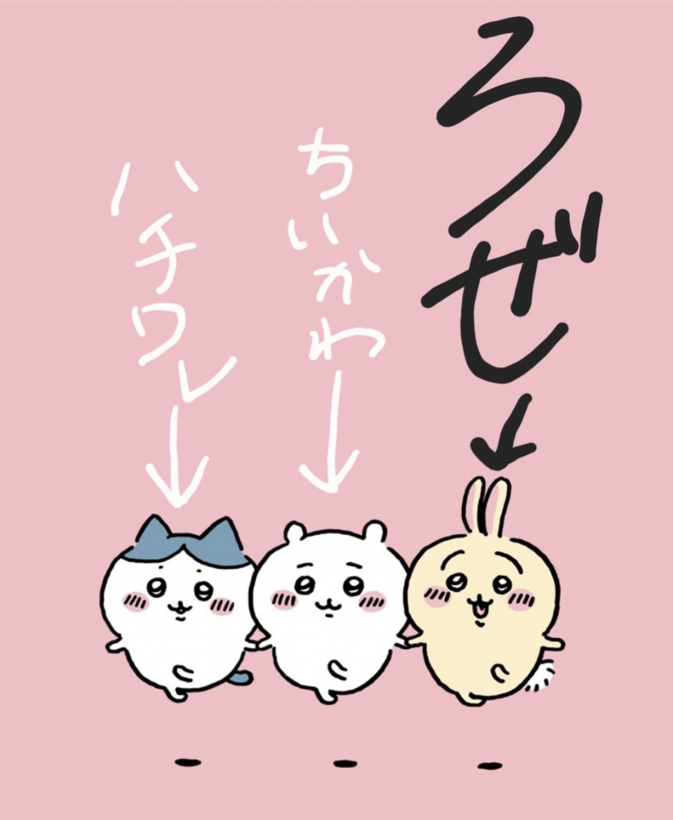 アップロード画像