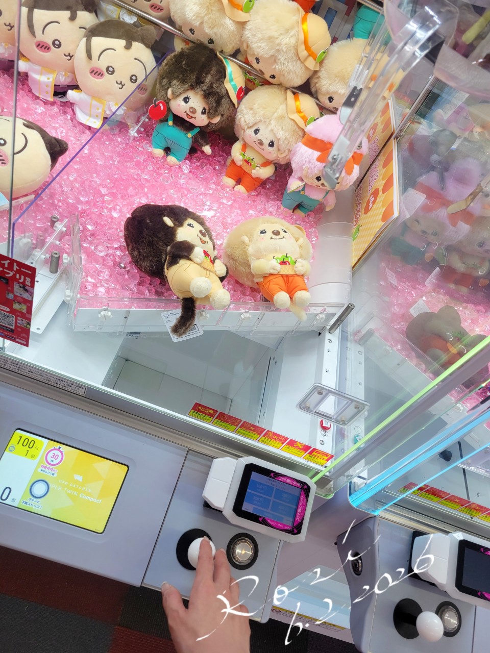 アップロード画像