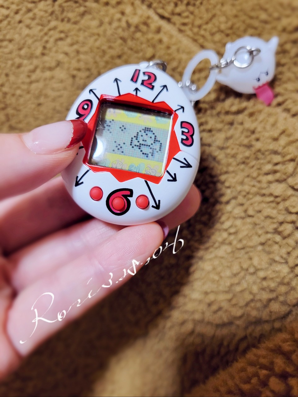 アップロード画像