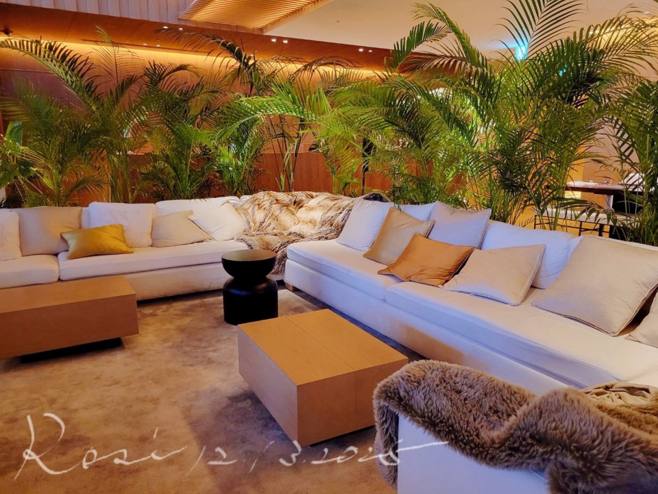 アップロード画像