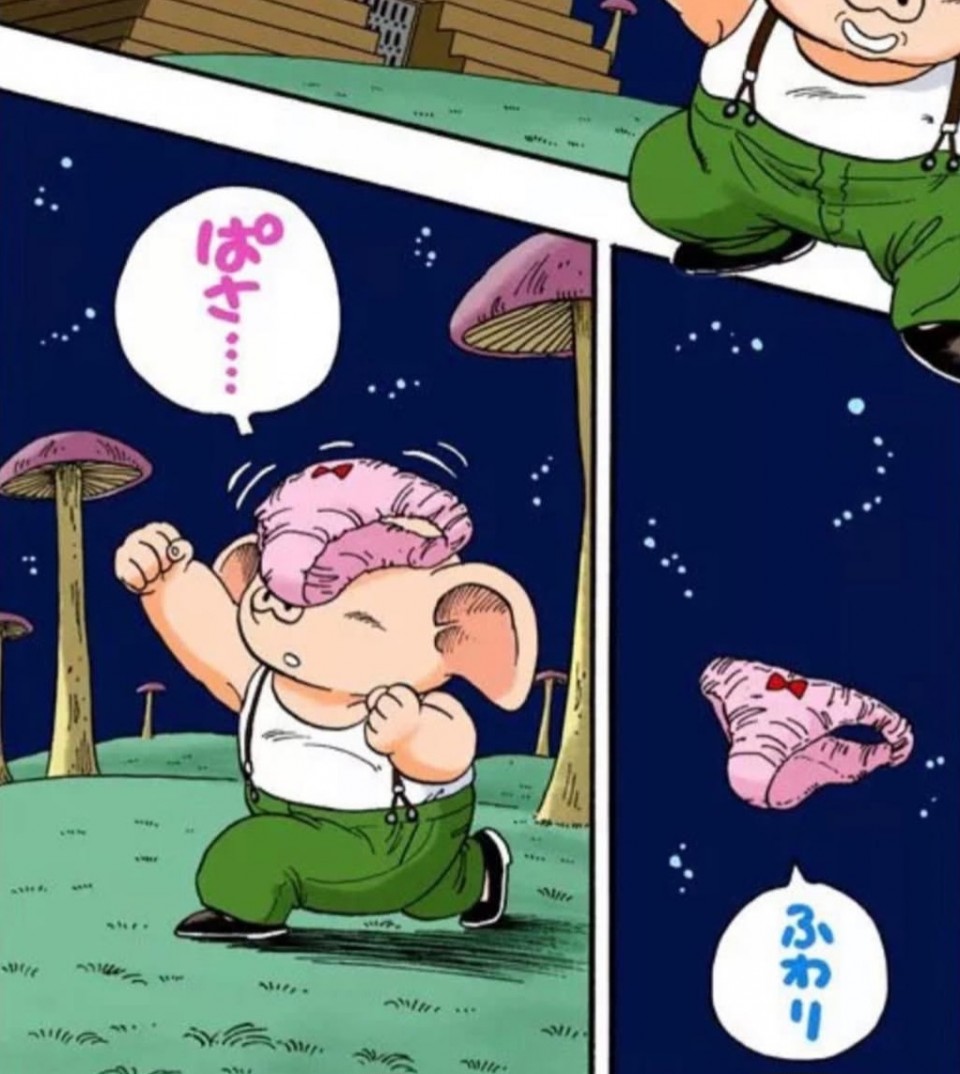 アップロード画像
