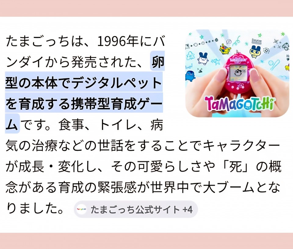 アップロード画像