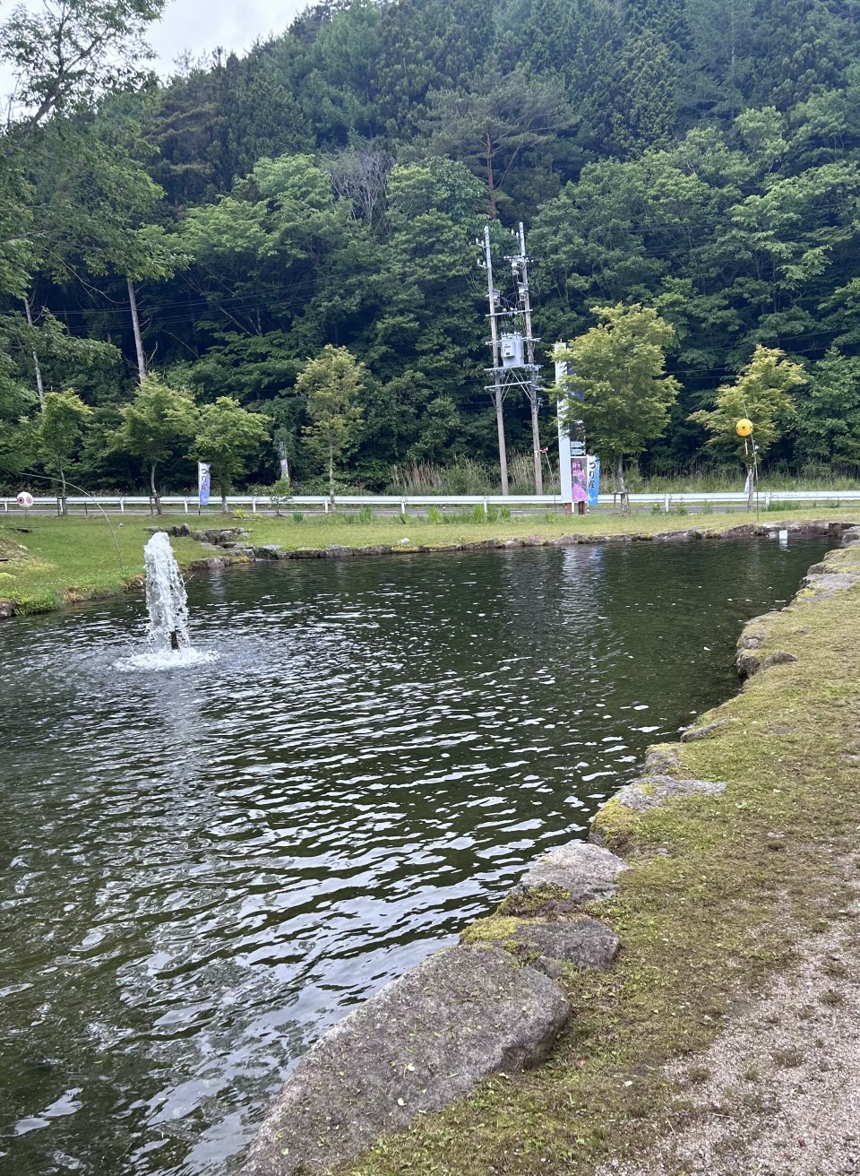 アップロード画像
