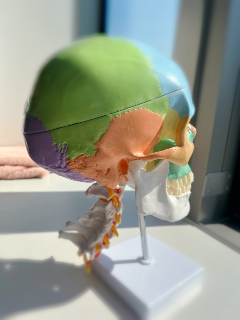 写メ