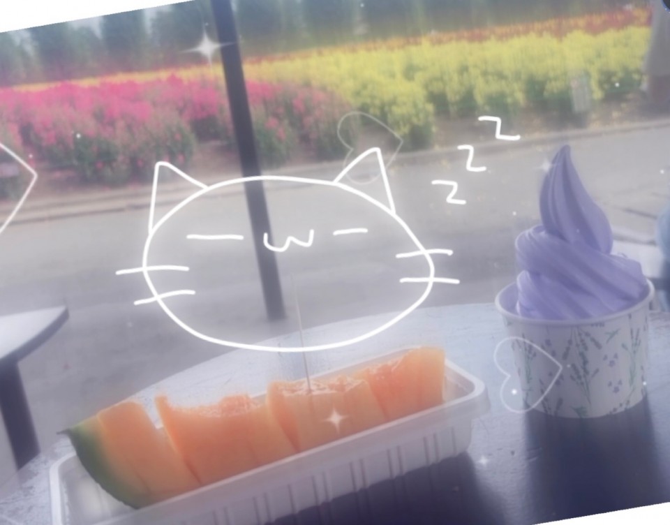 アップロード画像