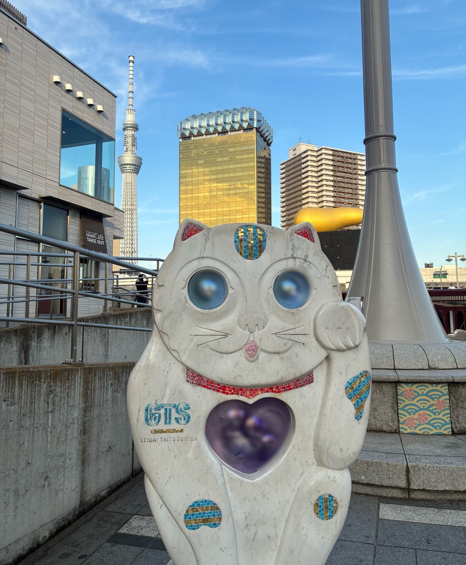 アップロード画像