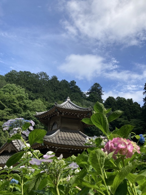 写メ