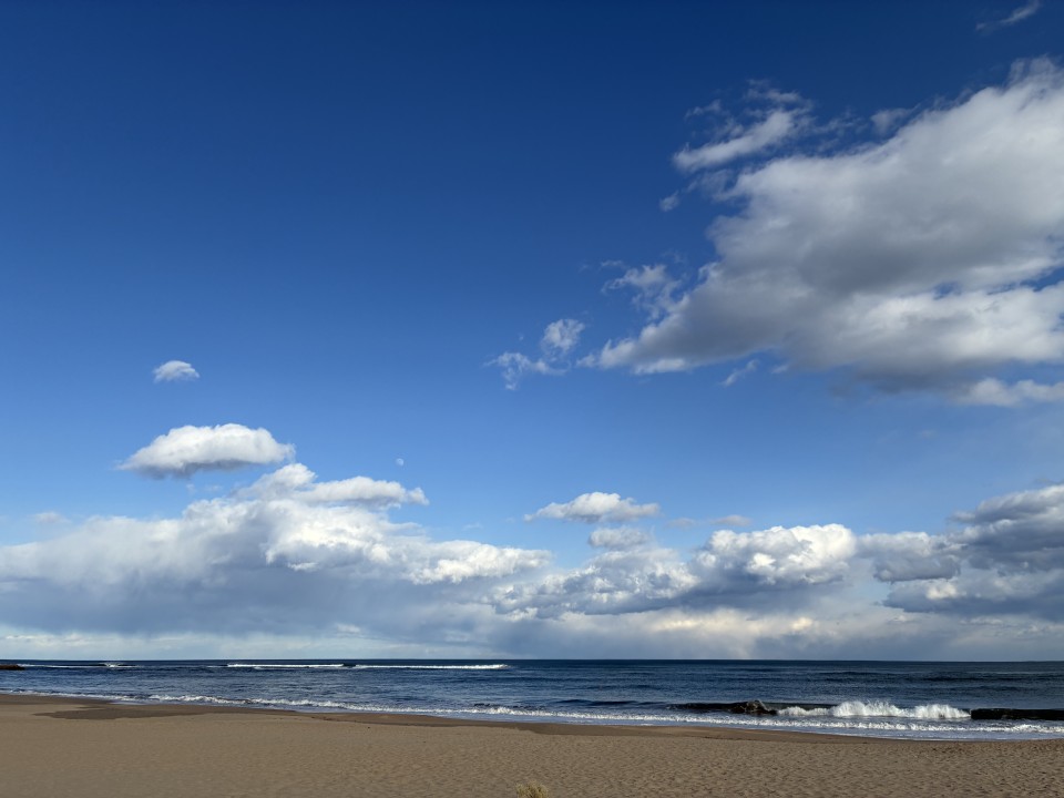 アップロード画像