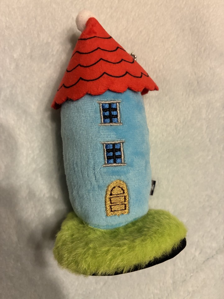 アップロード画像