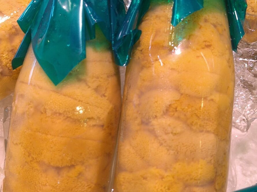 アップロード画像