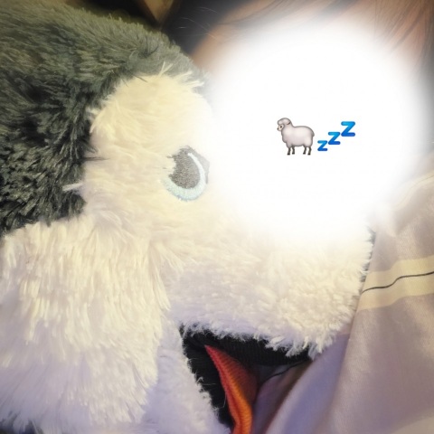 写メ