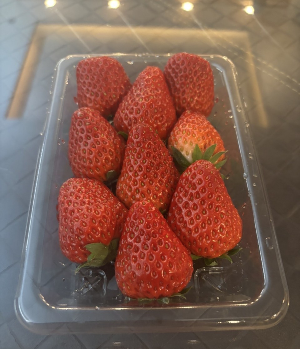 アップロード画像