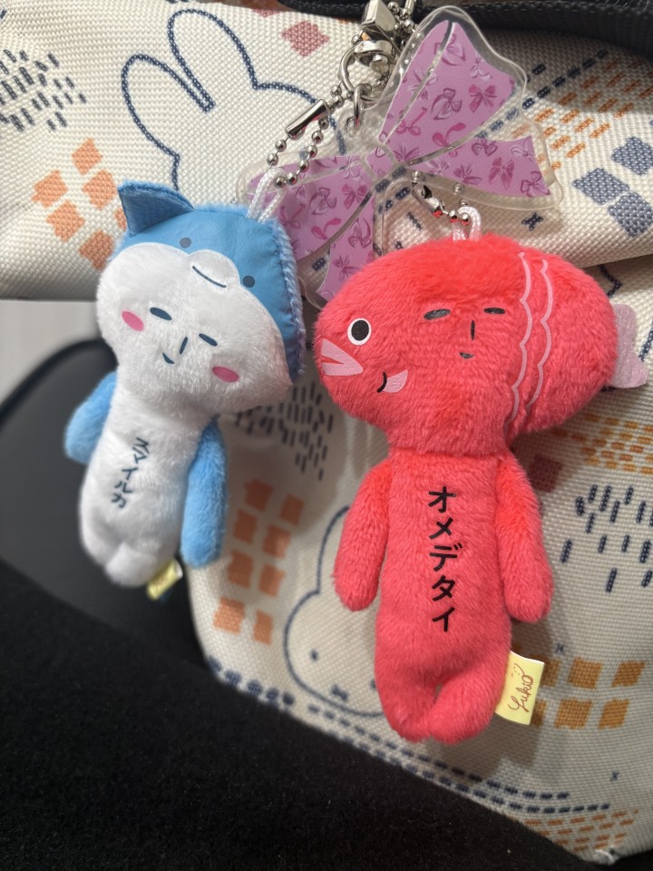 アップロード画像