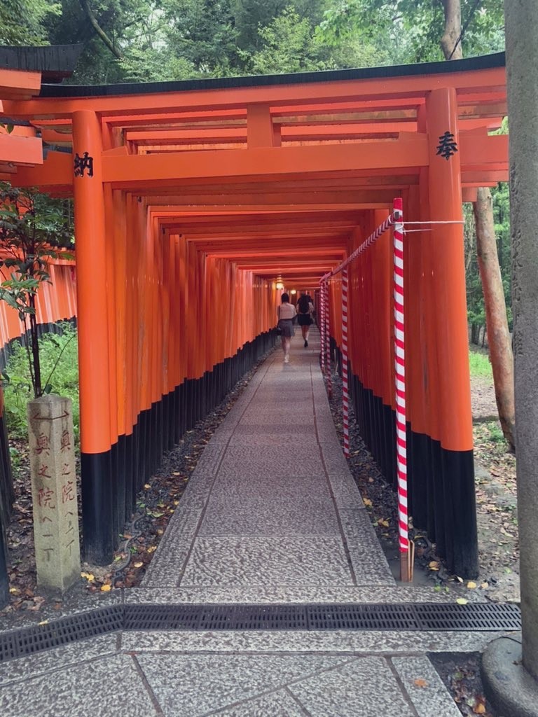 アップロード画像