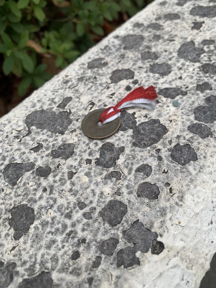 アップロード画像