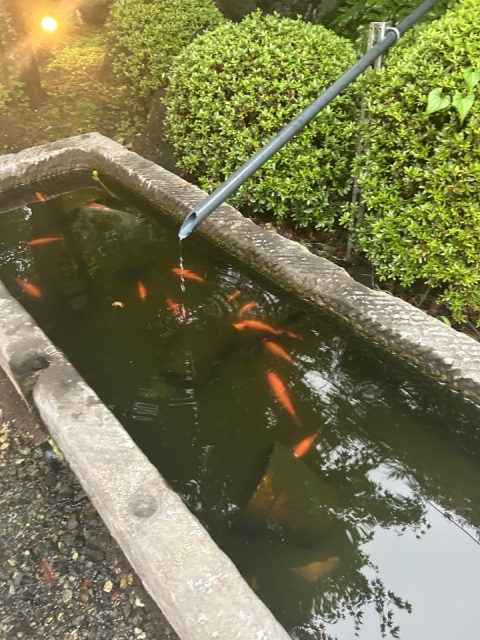 写メ