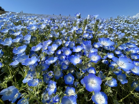 写メ