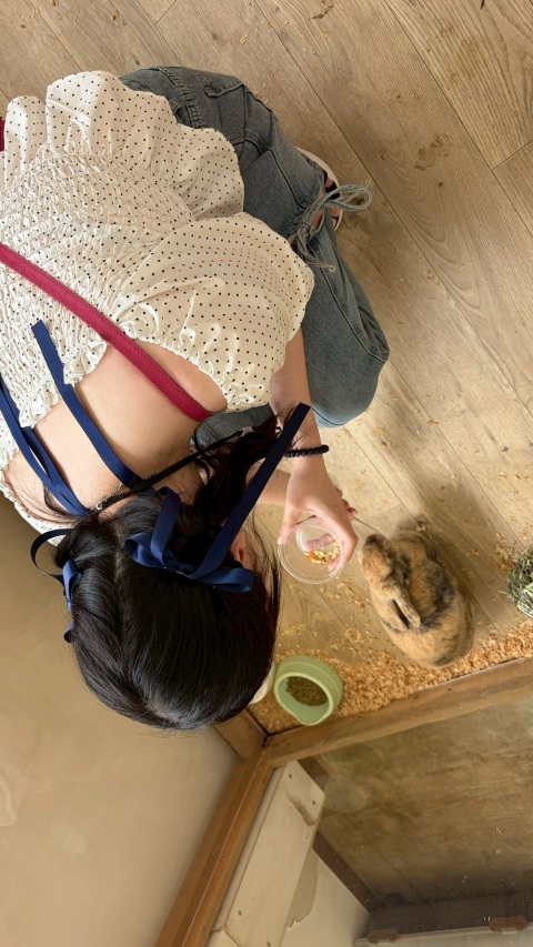写メ